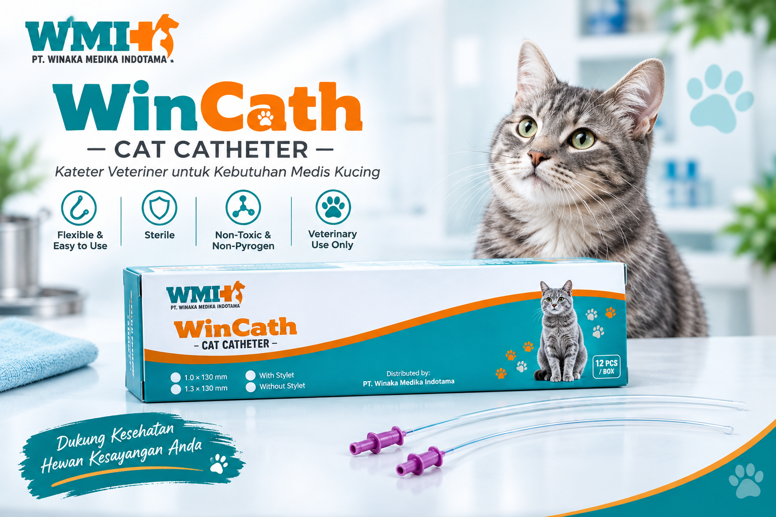 WinCath Cat Catheter: Kateter Kucing Steril, Fleksibel, dan Siap Mendukung Praktik Klinik Anda