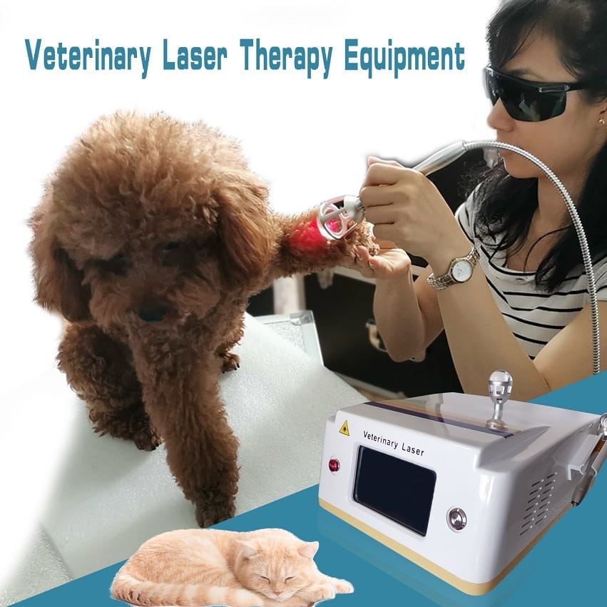 VETERINARY LASER THERAPY